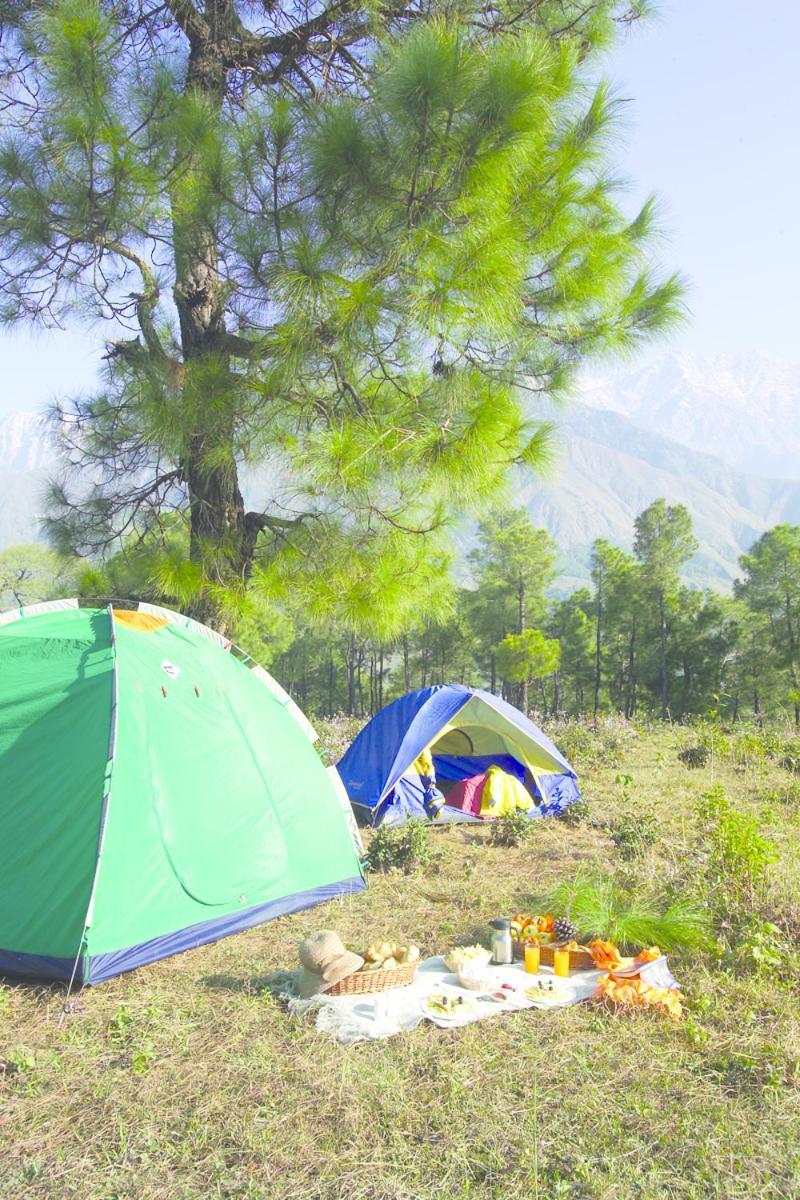 Club Mahindra Dharamshala Hotell Eksteriør bilde